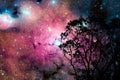 blur galaxy nebula back on night cloud  sky on tree Royalty Free Stock Photo