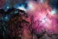 blur galaxy nebula back on night cloud sky on tree