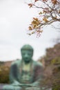 Blur Giant buddha or Kamakura Daibutsu Royalty Free Stock Photo