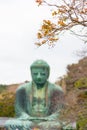 Blur Giant buddha or Kamakura Daibutsu Royalty Free Stock Photo