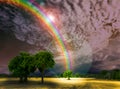 blur god bless rainbow dark and sky tree in park Royalty Free Stock Photo