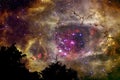 blur gold color galaxy nebula back on night cloud sky silhouette dry tree