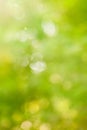 Blur Green Nature Royalty Free Stock Photo