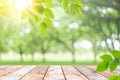 Blur green nature bokeh with sun light on copy space empty old wood table abstract background Royalty Free Stock Photo