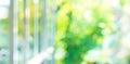 Blur green nature garden background Royalty Free Stock Photo