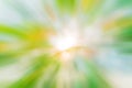 blur image of Abstract Bokeh of tree green color background. Royalty Free Stock Photo