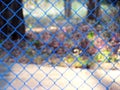 Blur image background, Mesh fence panel Royalty Free Stock Photo