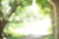 Blur Image Bokeh Natural Green Tree Lawn Pathways and green background trees with a beautiful lawn