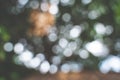 The Blur image and bokeh from tree in daylight Royalty Free Stock Photo