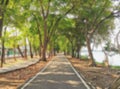 Blur image of empty walkway in the green park for background usage Royalty Free Stock Photo
