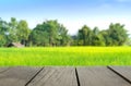 Blur image of terrace wood and agriculture life