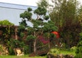 Blur Landscape in the home garden. Young pine-tree and garden path. The concept of landscaping design. Soft focus image. Topiary