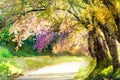 Blur landscape walkway in beautiful park for background Royalty Free Stock Photo