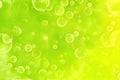 blur and lovely soft light green background with bubbles