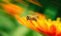 In a blur of motion, bee races along vibrant flowers, a fleeting sight. Creating using generative AI tools