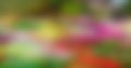 Blur multicolour hd wallpaper background tv film screen modern web desktop