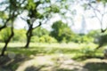 Blur natural and light background in the park. Royalty Free Stock Photo