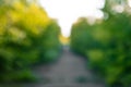 Blur nature bokeh abstract road in the park by summertime Royalty Free Stock Photo