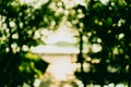 Blur nature green bokeh with small bridge. Royalty Free Stock Photo