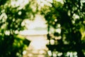 Blur nature green bokeh with small bridge. Royalty Free Stock Photo