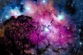 blur nebula galaxy back on night cloud sunset sky silhouette branch and tree