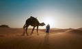 Blur photo - abstract image for the background. A man with a camel travels through the desert in backlight.