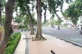 tall trees on sidewalk left side of highway and right side of park