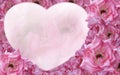 blur pink roses flower on heart shape on pink roses background, nature, decor, banner, template, card, copy space Royalty Free Stock Photo