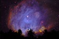 blur purple galaxy nebula back on night cloud sky silhouette dry tree Royalty Free Stock Photo