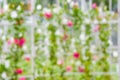 Blur of red flower on iron rail in flower garden