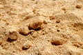 Blur surfave of sand Royalty Free Stock Photo