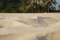 Blur sand, palm trees and tropical beach bokeh background, summer vacation and travel concept. Copy space Royalty Free Stock Photo