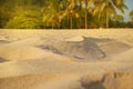 Blur sand, palm trees and tropical beach bokeh background, summer vacation and travel concept. Copy space, mockup