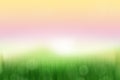 Blur soft abstract background,nature theme,sunset time