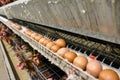 Multilevel production line conveyor production line of chicken eggs of a poultry farm Royalty Free Stock Photo