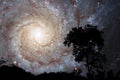 blur sprial galaxy back on night cloud sunset sky silhouette tree Royalty Free Stock Photo