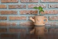 Blur tree in pot on wooden table and stone background