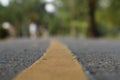 Blur walkway focus on yellow line cross into park. Shoot in ant view people and green park background was blur. Royalty Free Stock Photo