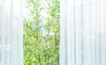 Blur of white curtain with window view / tree garden