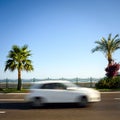Car drives an empty road palm tree on background