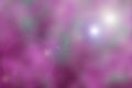 Blured nature background with pink purple tone