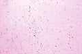 Blured water drops on window in pink tone. Seasonal background texture Royalty Free Stock Photo