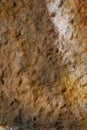 Blurred abstract background. Brown with white tuberous cement surface.