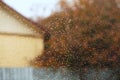 Blurred abstract background of a country house and trees. Spider web, dew drops on a grid Royalty Free Stock Photo