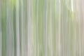 Blurred abstract background. Green lines. Royalty Free Stock Photo