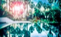 Blurred abstract background photo of forest with surreal motion blur effect Royalty Free Stock Photo