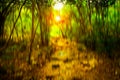 Blurred abstract background photo of forest with surreal motion blur effect Royalty Free Stock Photo