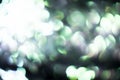 Blurred abstract black background with green and gray lights