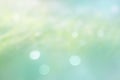 Blurred Abstract Grass And Natural Green Pastel Background Soft Focus