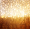 Blurred abstract photo of light burst among trees.